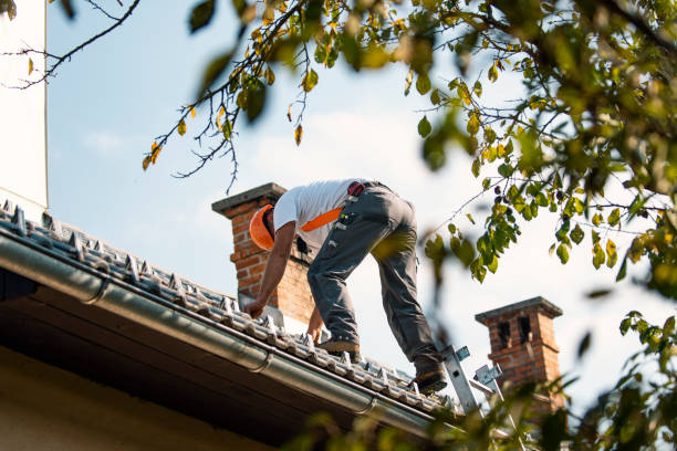 Best Roof Maintenance and Cleaning  in Mount Pleasant, MI